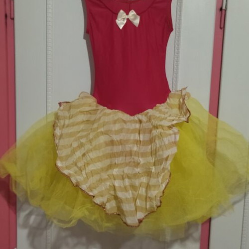 Carnival costume like new