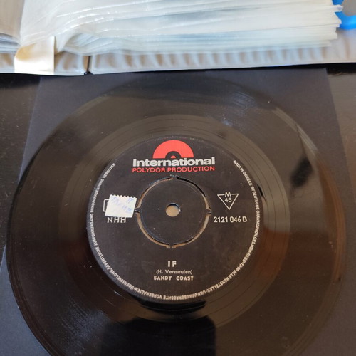 Sandy Coast True Love That's A Wonder vinyl record used