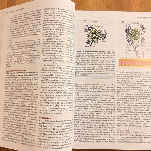 Cellular and Molecular Immunology used
