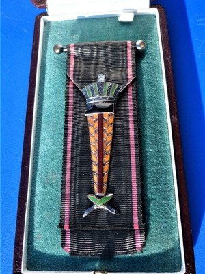 Βέλγιο Honour Badge of Labour μεταχειρισμένο, νικελοχρωμιωμένο μέταλλο και σμάλτο