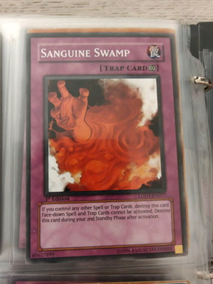 Yu-Gi-Oh card Sanguine Swamp like new