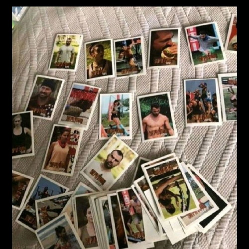 Survivor stickers used, pack of 50+