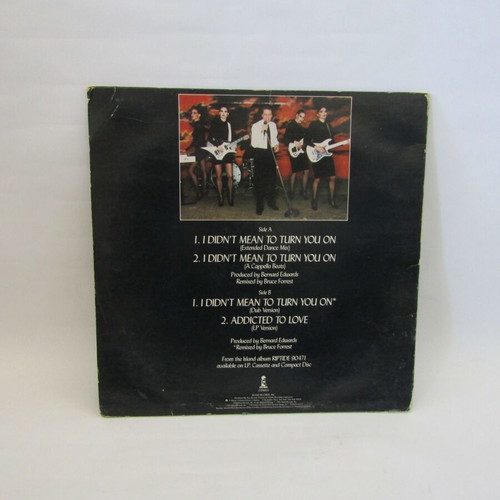 Robert Palmer I Didn't Mean To Turn You On LP used, extended dance mix