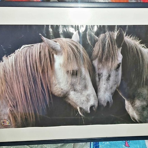 Horse painting in wooden frame like new