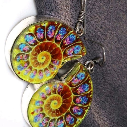 Earrings with colorful ammonite design, new