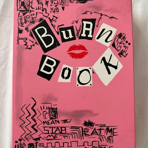 Burn Book Eyeshadow Palette brand new