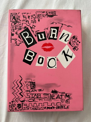 Burn Book Eyeshadow Palette brand new