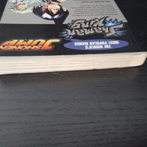 Shaman King Volume 13 Viz Media like new English edition