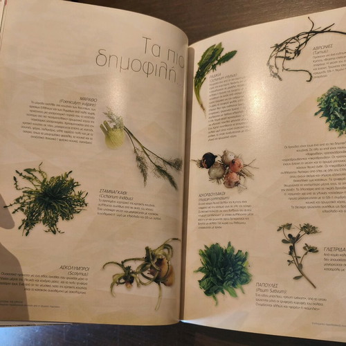 Cookbook The Kitchen of Crete like new, Myrsini Lambraki