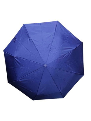 Automatic umbrella blue new