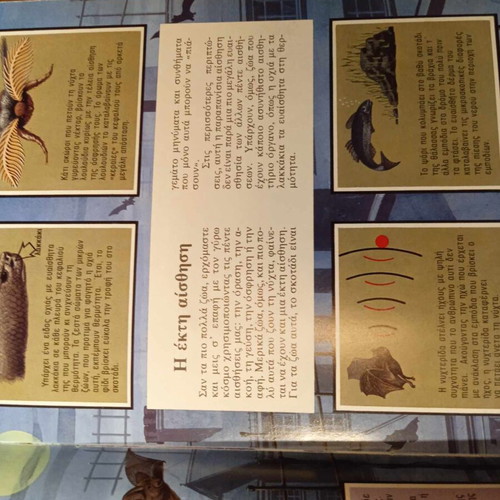 O Kosmos tis Nychtas used children's book with educational animal illustrations
