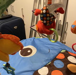 Baby gym play mat with hanging toys