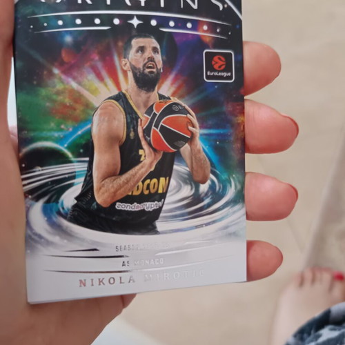 Panini basketball cards