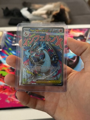 Mega Charizard X EX & Oricorio EX promo cards new