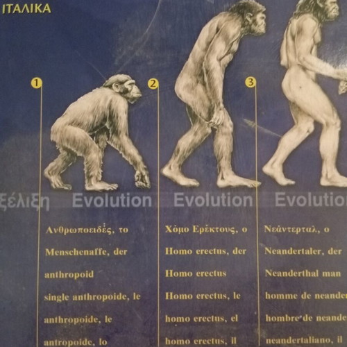 The Big Illustrated Dictionary in Six Languages like new