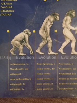 The Big Illustrated Dictionary in Six Languages like new