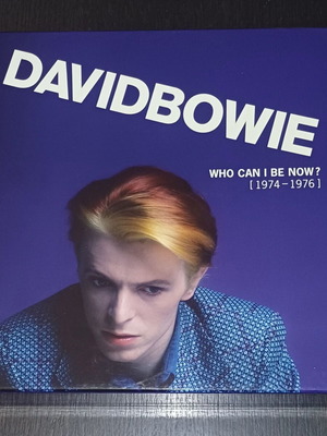 David Bowie Who Can I Be Now? 9LP box set used, rock