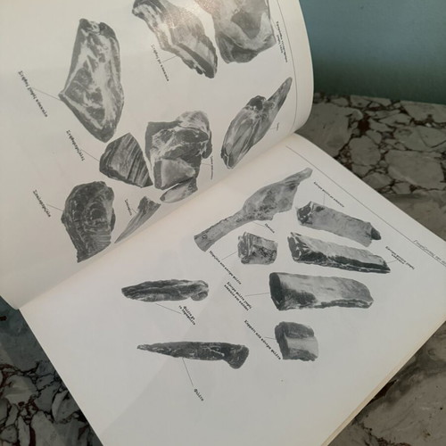Cooking Expertise by Simos Dimitriadis used, Palmié Academy edition