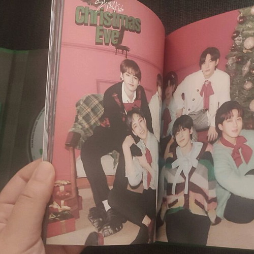 Stray Kids Christmas Evel Green version like new