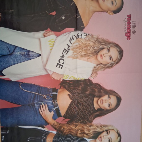 Little Mix Maluma giant poster, new