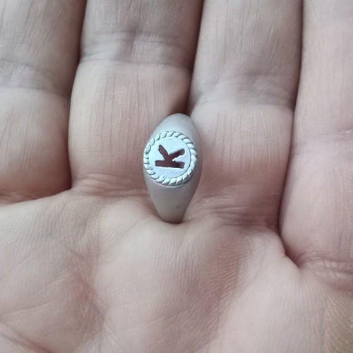 Ring Apefthon silver 925° chevalier matte finish like new