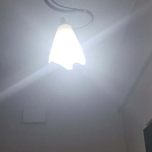Ceiling light used