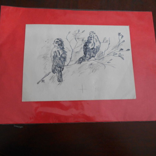 Neiros Sparrows ink on paper used, typographic layout