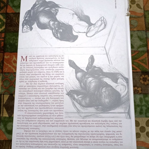 Anatomy for artists