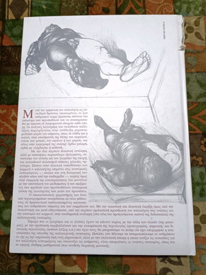 Anatomy for artists