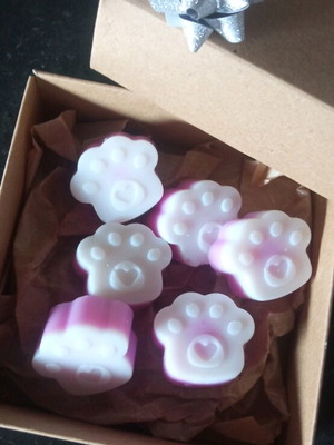 Big Paws wax melts like new, pack of 6 pieces
