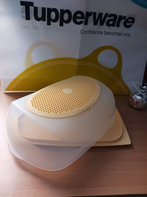 Smart Tupperwer Cheese Container Large New