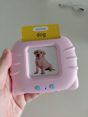 Electronic English Learning Toy with 60 Cards for Preschoolers