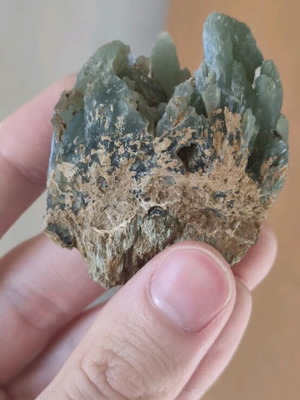 Prasios new, unique rich specimen for collection