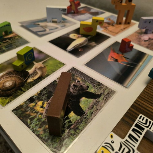 Montessori Animal Photos and Figures Game used