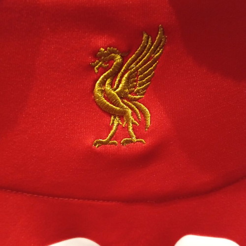 Liverpool FC 2008/09 Home Jersey Fernando Torres XL Like New
