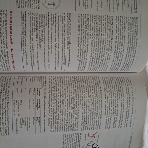 Biochemistry and Pathobiochemistry Karlson like new