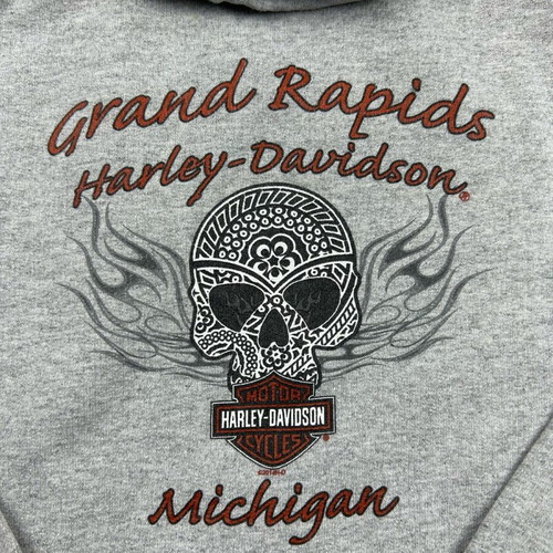 Harley-Davidson gray striped raglan sweatshirt used, size S