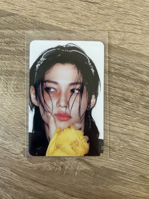 Stray Kids Karma Felix Photocard like new