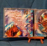 Groovy Mania 13 CD used compilation