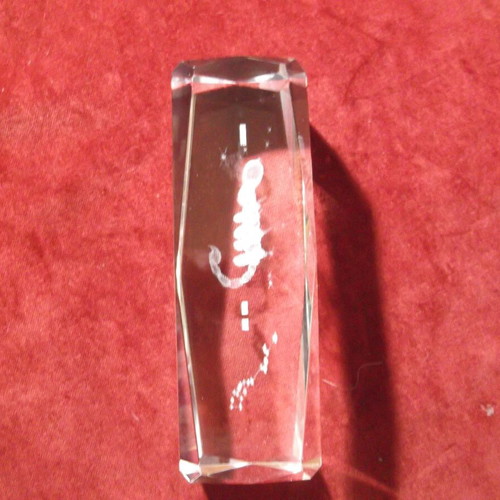 Crystal glass used Scorpio laser engraved paperweight