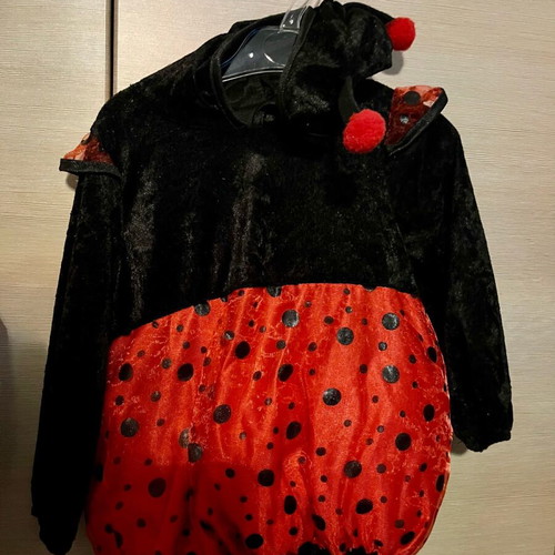 Ladybug costume baby 24 months like new for height up to 90cm