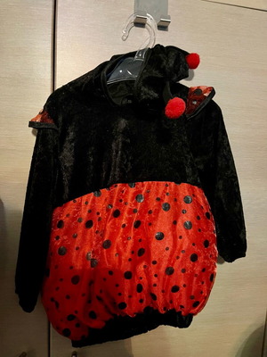 Ladybug costume baby 24 months like new for height up to 90cm