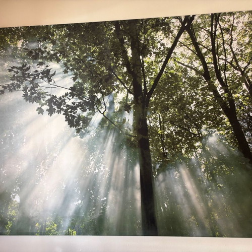 IKEA Wall Panel - Decorative Wall | BJÖRKSTA | 140 x 200 cm | “Morning in the Forest”