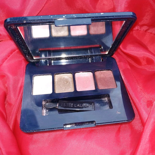 Estee Lauder eyeshadow palette used with brush wear
