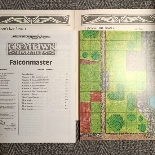 Dungeons & Dragons Greyhawk Adventures Falconmaster book used