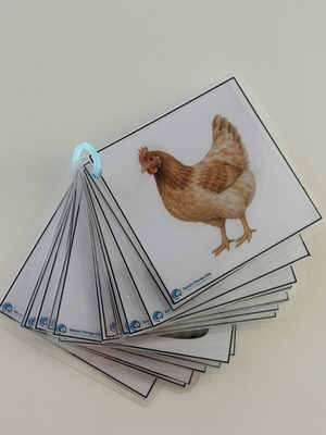 Farm Animal Cards like new, set of 18 laminated