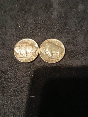 American Buffalo Nickel 5 Cents Coin 1919 and 1924 like new