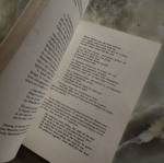 Jim Morrison 1 second edition used book