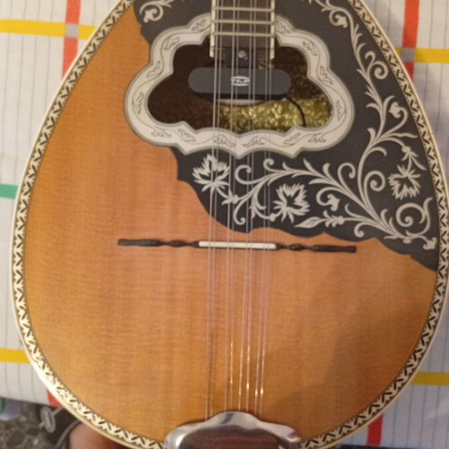 Professional Bouzouki Oktachordo Saribeyoglou 2019 like new with pickup and case
