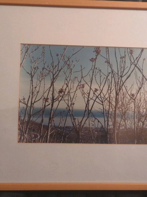 Photo in good frame like new, excellent condition